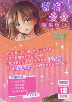 第1页图