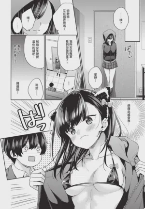 第106頁圖