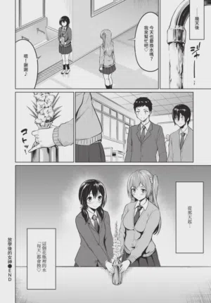 第216頁圖