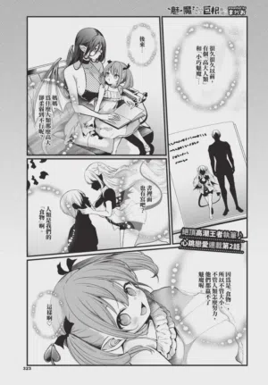 第323頁圖