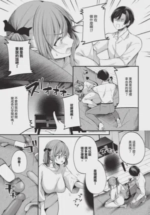 第333頁圖