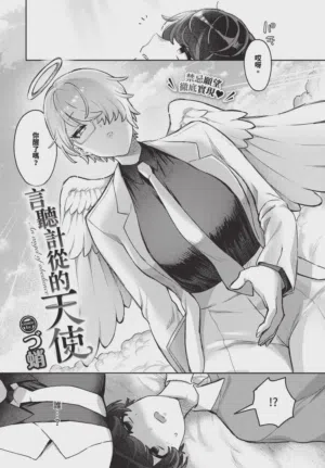 第506頁圖