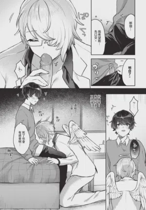 第511頁圖