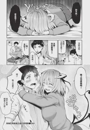 第610頁圖