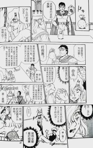 第33页图