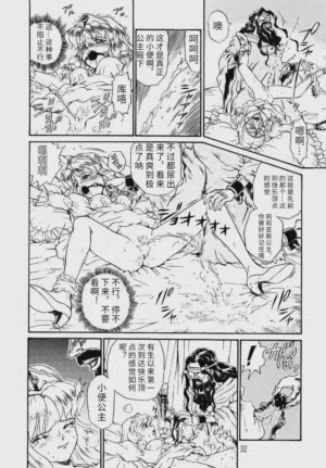 第29頁圖