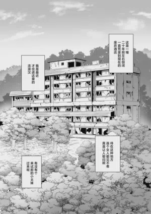 第3页图