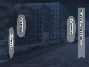第205頁圖