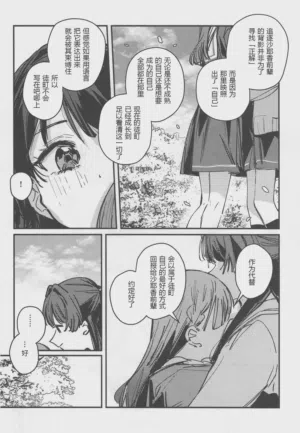 第17页图