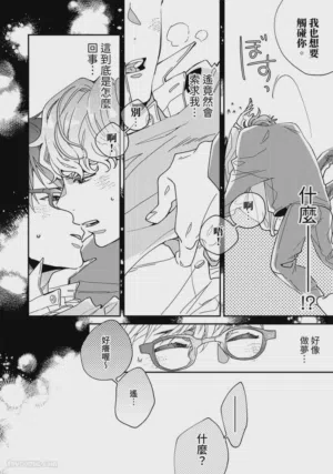 第41頁圖