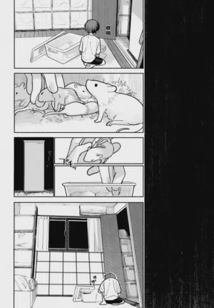 第37頁圖