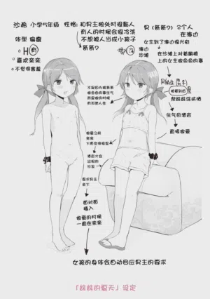第223頁圖