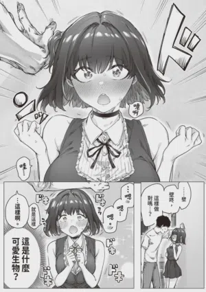 第133頁圖