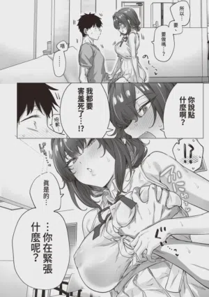 第250頁圖