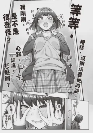 第41頁圖
