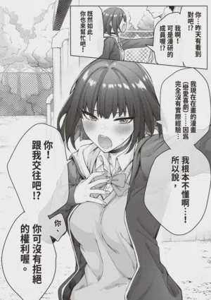 第46頁圖