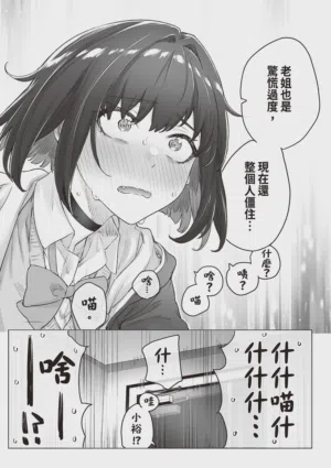 第67頁圖