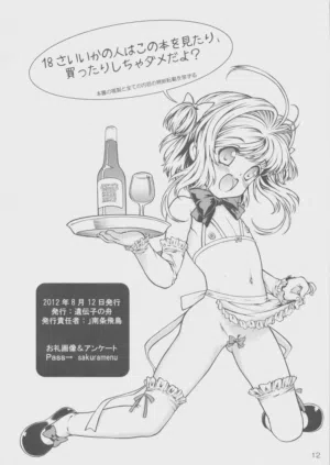 第13页图