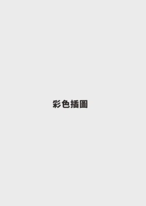 第317页图
