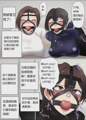 第17页图
