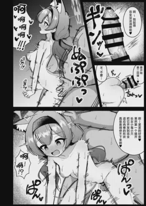 第17页图