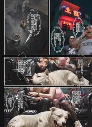 第101頁圖
