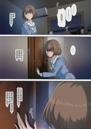 第17页图