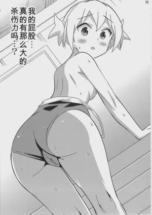 第74頁圖