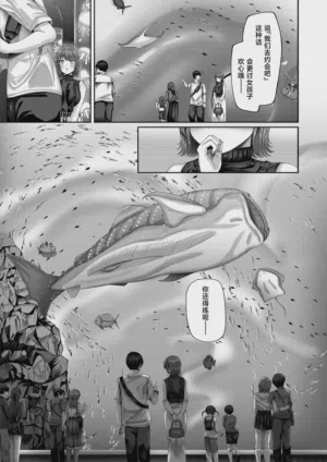 第48页图