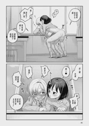 第85頁圖