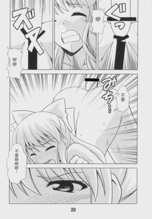 第19頁圖