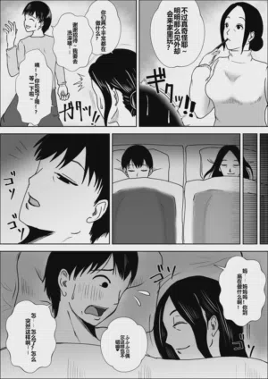 第12页图