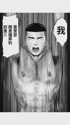 第55頁圖