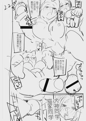 第204页图