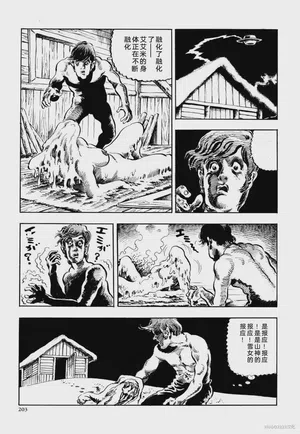 第215頁圖