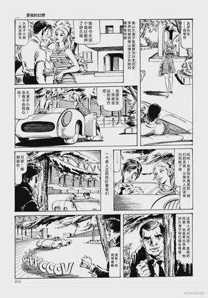 第223頁圖