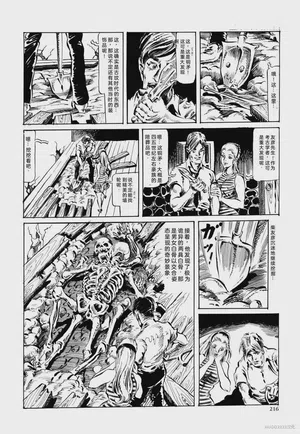 第228頁圖