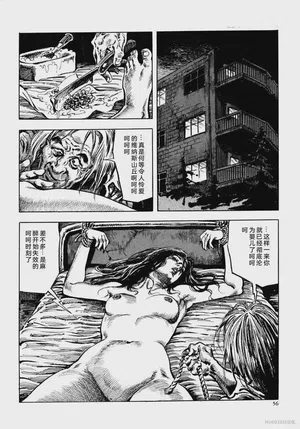 第68頁圖