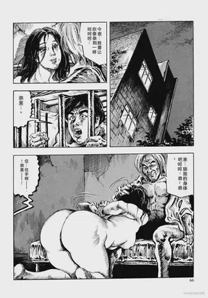 第78頁圖