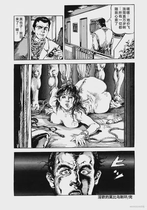 第161頁圖