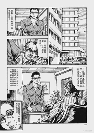 第213頁圖