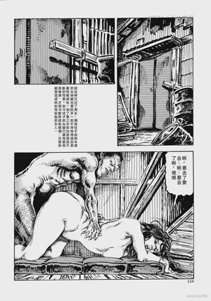 第223頁圖