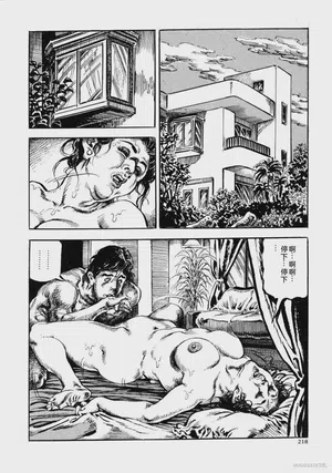 第231頁圖