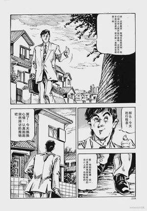 第241頁圖