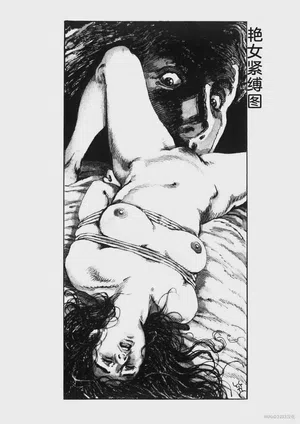 第217頁圖