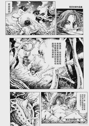 第37頁圖
