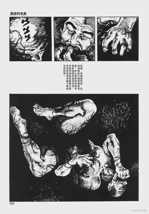 第206頁圖
