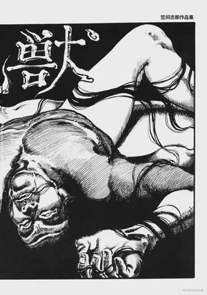 第207頁圖