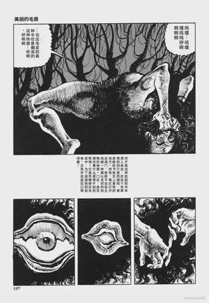第210頁圖