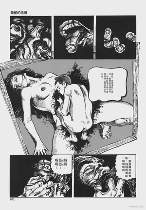 第214頁圖